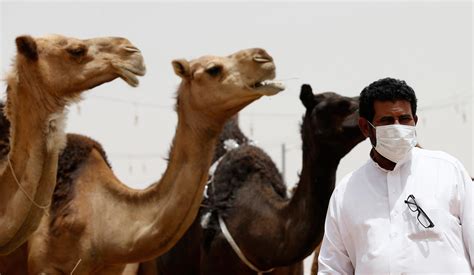 Saudi Officials Find 'Extra' MERS Cases - NBC News