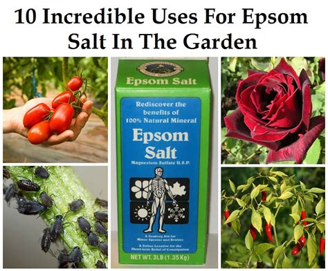 Epsom salt helps stabilize mood and relieve stress, anxiety and depression. 10 Incredible Epsom Salt Uses For Plants & The Garden