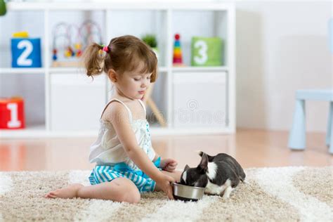 Beautiful Kid Girl Feeding Her Dog In The Living Room Stock Image