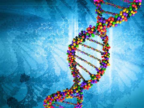 Scientists Sequence 64 Human Genomes As New Reference For Genetic Diversity
