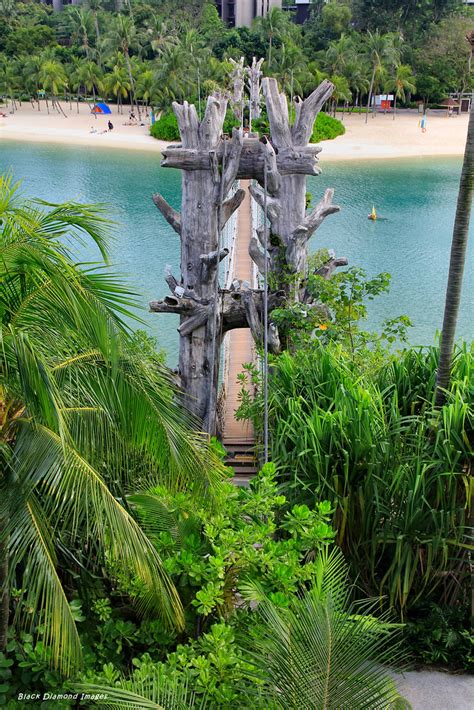 Suspension Bridge Palawan Beach Sentosa Island Singapor Flickr