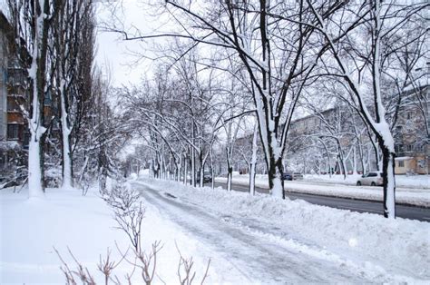 Snowy Street In The City Winter Trees Urban Landscape Stock Photo