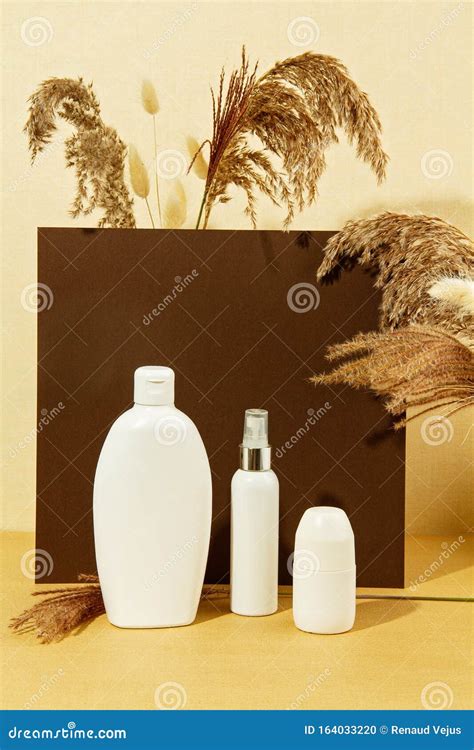 Background With Autumn Plants And Bottle Of Cosmetic In Pastel Colors