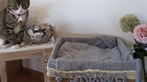 Diy Cat Furniture Ideas How To Make A Cat Bed Youtube