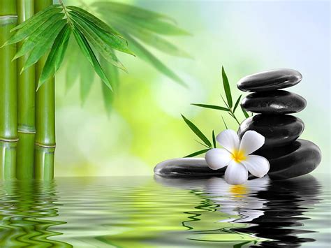 Hd Wallpaper Green Bamboo Grass Water Stones Spa Zen Zen Like