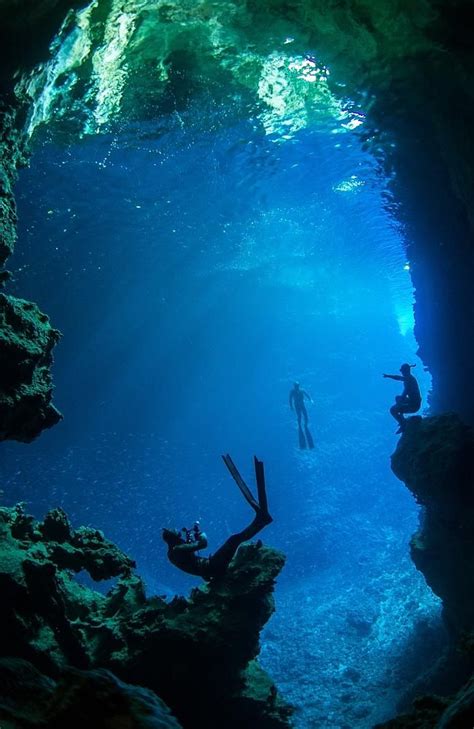 Where Can I Watch Deep Blue Sea For Free - Inside an incredible underwater cave | Underwater caves, Underwater