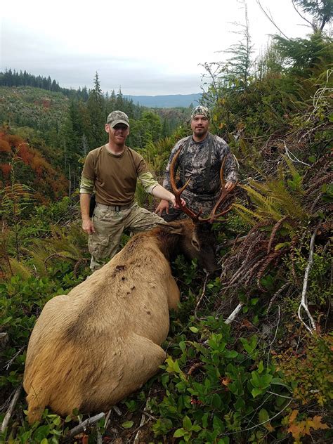 Photos Roosevelt Elk Outfitters