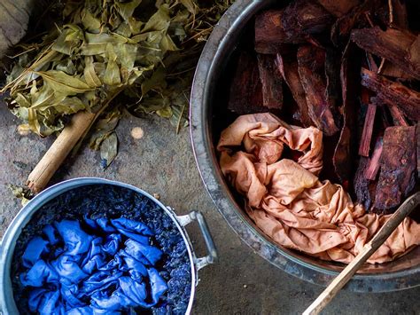 20 Natural Dye Plants You Can Forage And Grow In Your Garden
