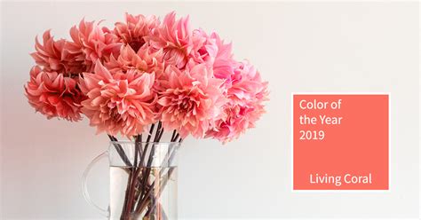 Pantone Color Of The Year 2019 Living Coral New American Funding