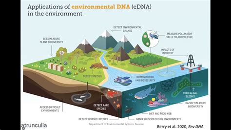 Biodiversity monitoring from Airborne environmental DNA - revolutionary