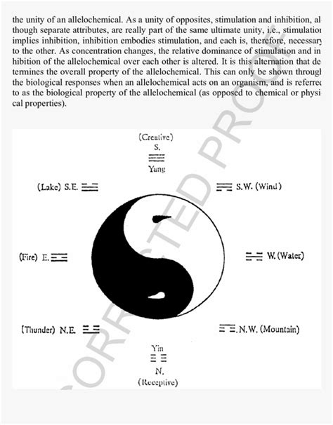 Schematic Representation Of Yin Yang Theory Yin Yang Representation Hd Png Download