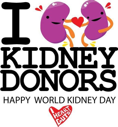 Living Kidney Donor Kidney Disease Awareness Kidney Donor