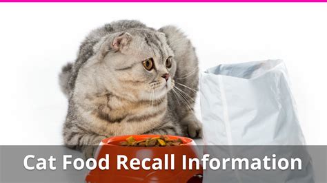 We are committed to making our website accessible to everyone, including those with disabilities. Everything You Need To Know About Cat Food Recalls