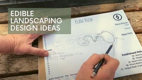 Edible Landscaping Design Ideas Youtube