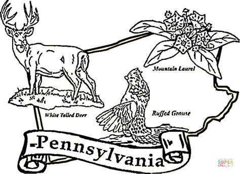 The species is best known for the striking courtship displays put on by males. Pennsylvania state coloring page | Free Printable Coloring ...