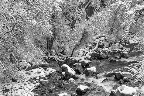 South Boulder Creek Winter Photograph By Steve Gandy Fine Art America