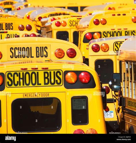 Los Autobuses Escolares Estacionados En Líneas Fotografía De Stock Alamy