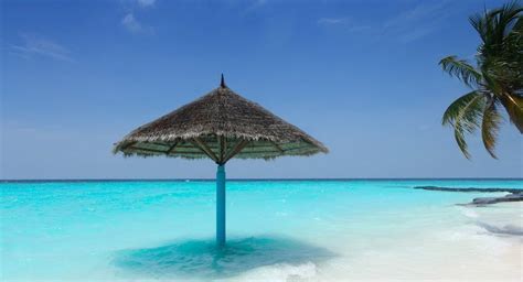 6 Dream Places To Visit In Maldives Worthview