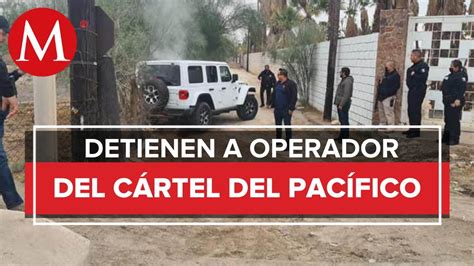 Detienen A ‘el Omega Operador Del Cártel Del Pacífico En Mexicali