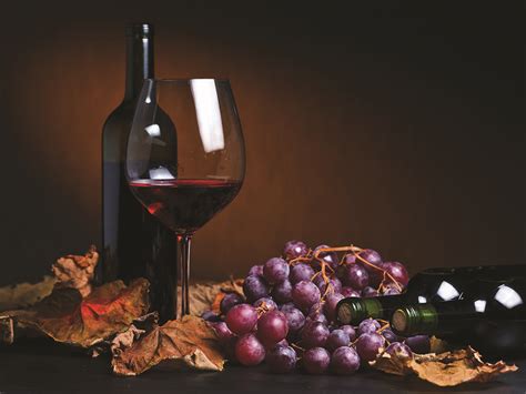 What Is The Best Organic Red Wine Kazzit Us Wineries And International
