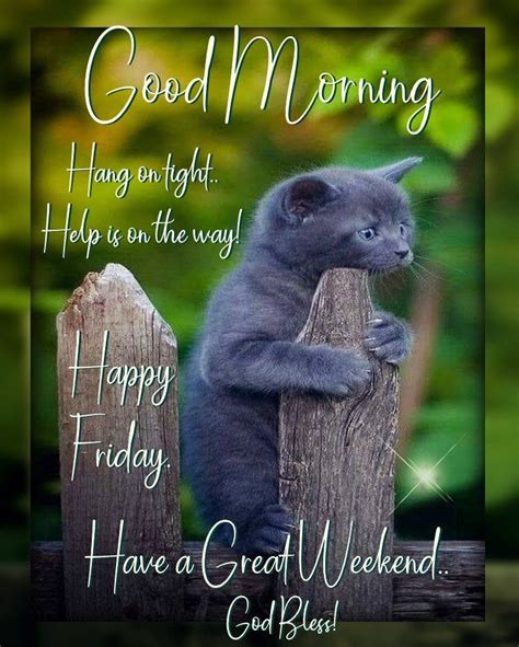 Good Morning Everyone Happy Friday I Pray That You Have A Safe