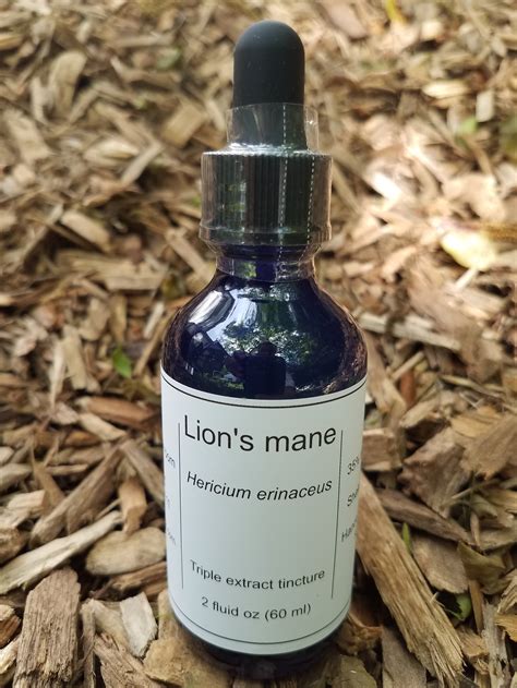 Long used in traditional chinese medicine, lion's mane is widely available in supplement form. Lion's Mane Tincture