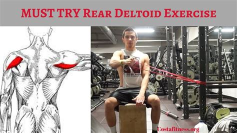 Must Try Rear Delt Exercise Youtube