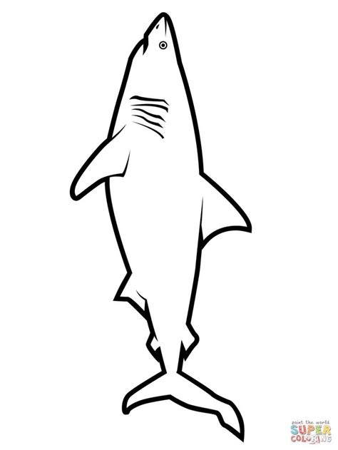 Realistic Great White Shark Coloring Page Free Printable Coloring