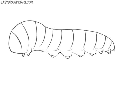 How To Draw A Caterpillar Peete Hiecand