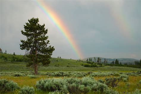 Rain Rainbow Sky Nature Colors Landscapes Wallpapers Hd Desktop
