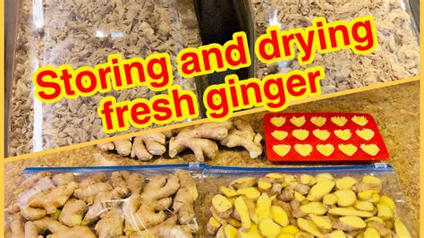 How To Dry Ginger At Home How To Store Ginger To Last Longer How To