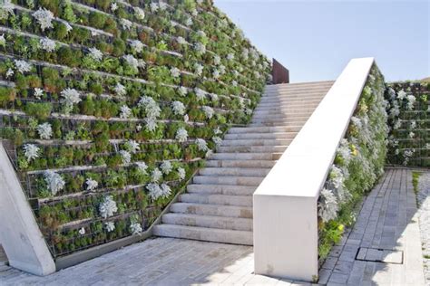 Odu Green Roof Vertical Gardens Vertical Walls