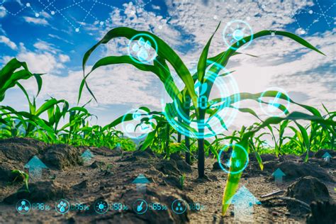 Leading Agricultural Technology Into The Future