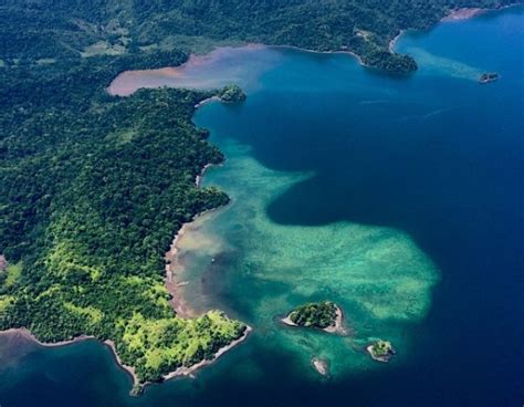 Best Things To Do On The Osa Peninsula Costa Rica Experts