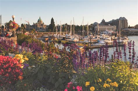 7 Reasons To Visit Victoria Bc Tourism Victoria