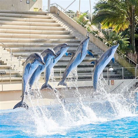 Ushaka Marine World Latest Fees Opening Hours Animals Aquarium Photos
