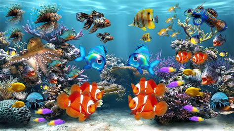Fish Tank Moving Desktop Backgrounds Aquarium Colors