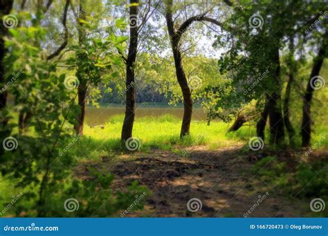 A Natural Blurred Landscape Of The River In Summer Central Russia
