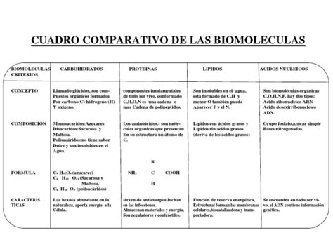 Cuadro Comparativo De Las Biomoleculas