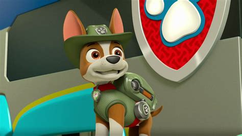 Paw Patrol Tracker Wallpapers - Wallpaper Cave