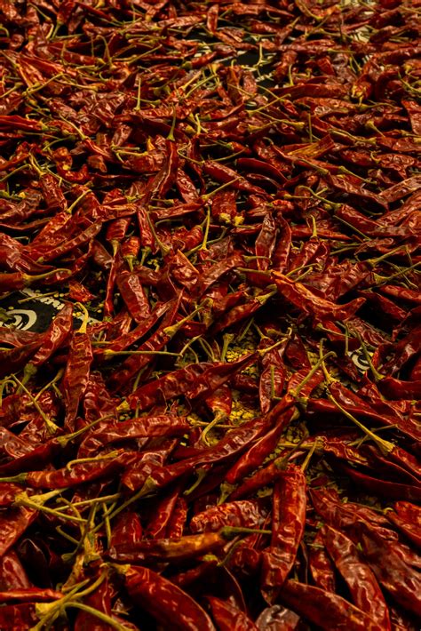 Dry Red Chillies Pixahive