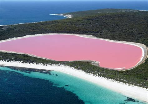 ¡se Resuelve El Misterio De Un Sorprendente Lago Rosa En Australia