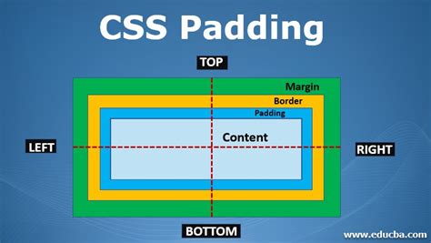Css Padding A Comprehensive Guide To Css Padding