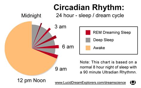 Dreaming And The Sleep Cycle You Can Lucid Dream