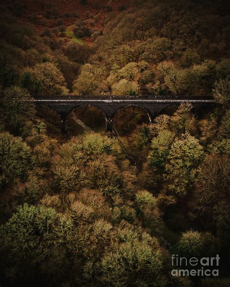 Tavistock Viaduct Photograph By Martin Bartnicki Fine Art America