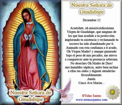 ® Santoral Católico ® Virgen De Guadalupe