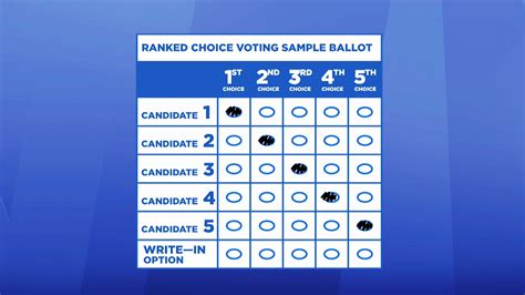 Push for Ranked Choice Voting Awareness in NYC