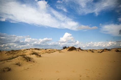 Oleshky Sands National Nature Park Nature Reserve Fund Of Ukraine