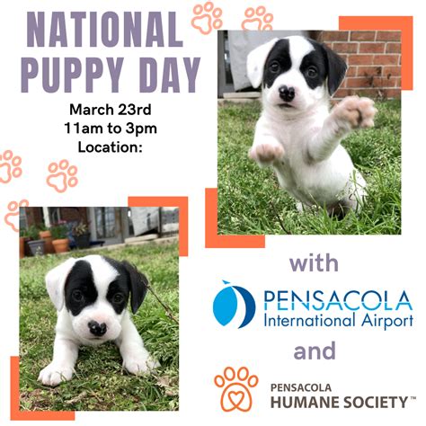 National Puppy Day Pensacola Humane Society