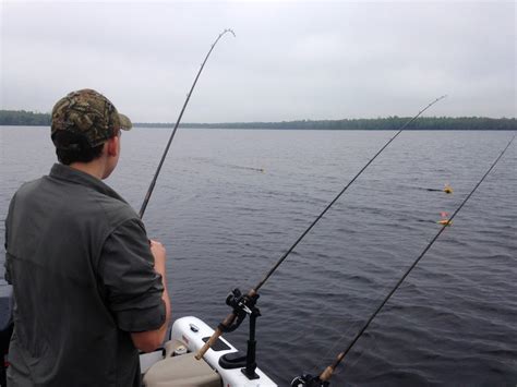 Houghton Lake Walleye Report Manistique Lakes Fishing Trip